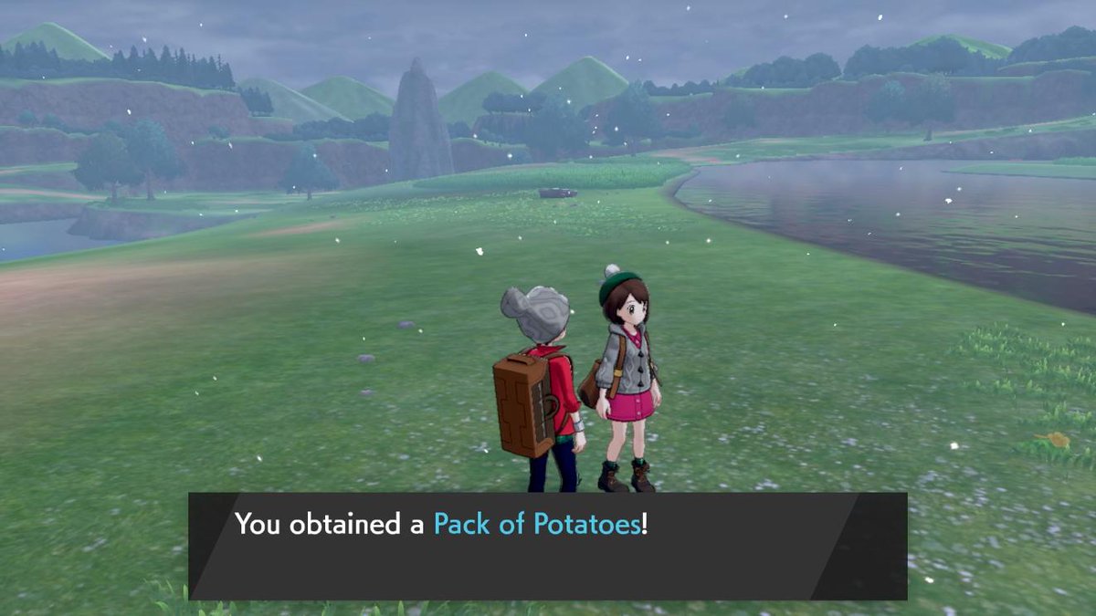 pokemon_sword_and_shield_obtaining_pack_of_potatoes_in_wild_area.jpg
