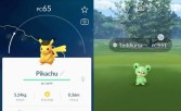safari_hat_pikachu_shiny_teddiursa_pokemon_go
