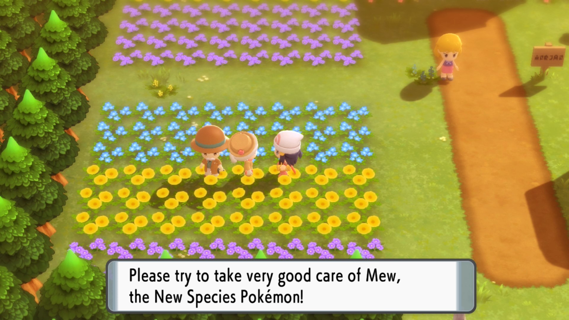Speak To A Madame In The Flower Field Located On The Southwest End Of Floaroma Town To Receive Mew In Pokemon Brilliant Diamond And Shining Pearl If You Have Save Data From