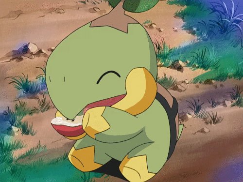20+ Turtwig (Pokémon) HD Wallpapers and Backgrounds