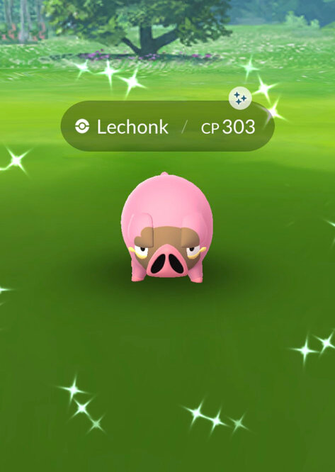 landoralpha on X: ✨Shiny Lechonk will be the first Paldean shiny Pokemon  to launch with the Adventures Abound season in Pokemon GO thanks to Ultra  Unlocks! Keep in mind that Lechonk has